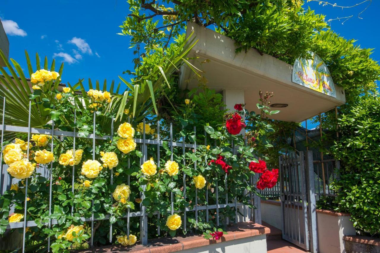 Bed & Breakfast Profumo D'Estate Agliana Dış mekan fotoğraf